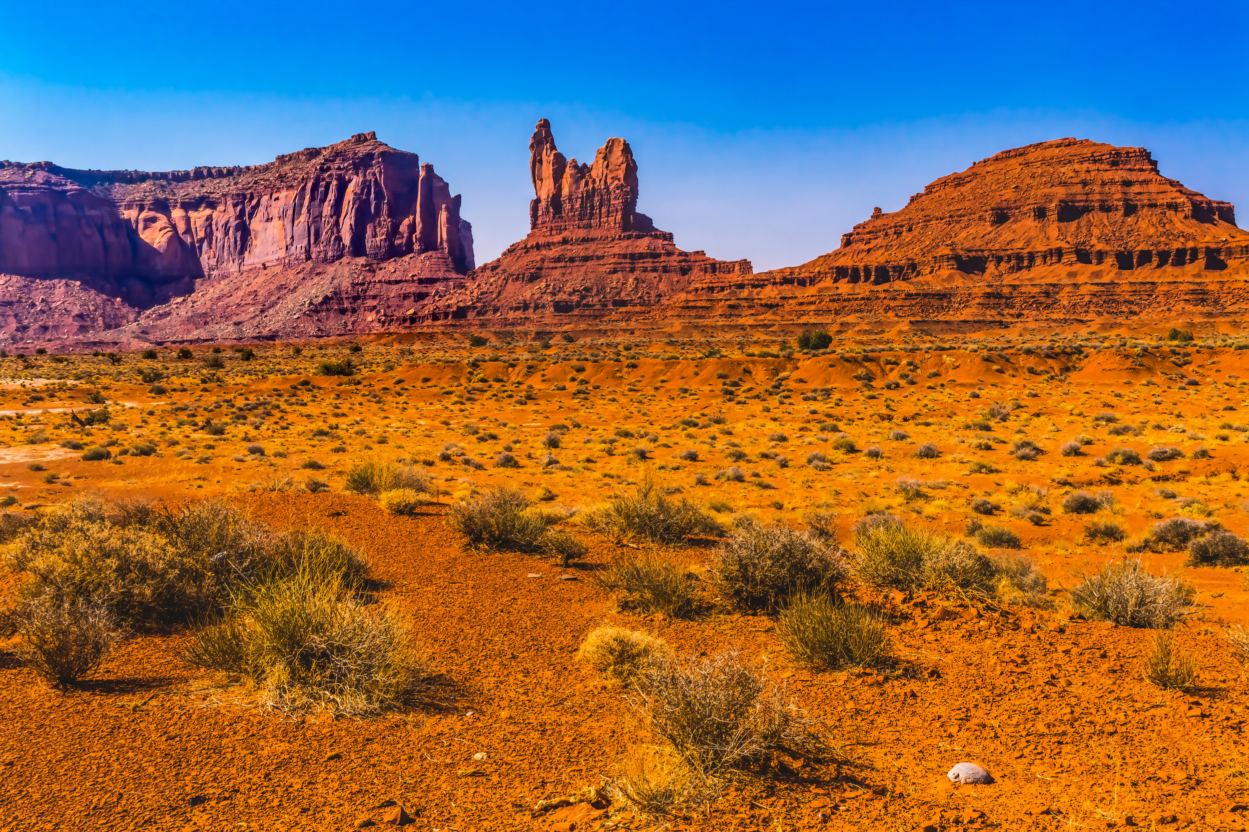 Sitting Hen Rock Formation Canyon Cliff Monument Valley Utah